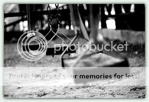 Photography Pictures, Images and Photos