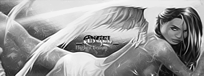 angel-2012.png