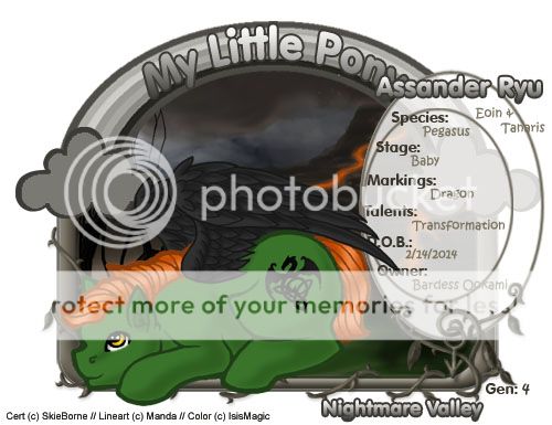 User Image