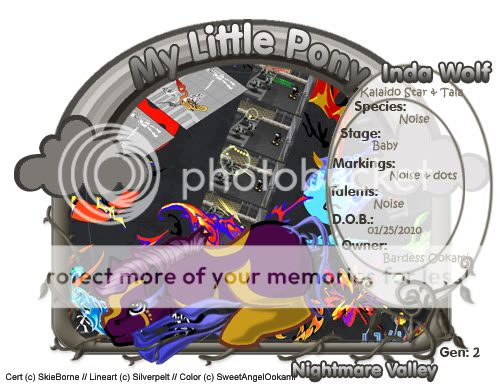 User Image