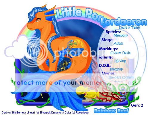 User Image