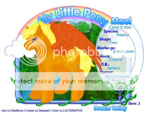 User Image