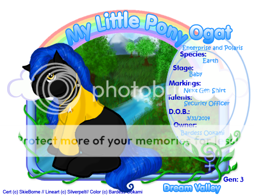 User Image
