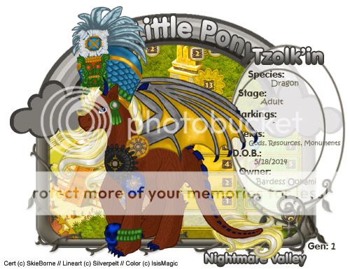 User Image