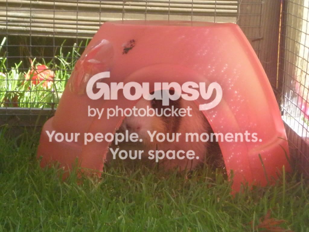 PA080026.jpg